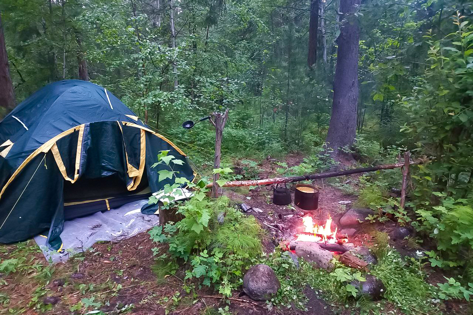 Волонтеры в лесу жили в домиках лесничих, но наш инспектор ночевал в палатке