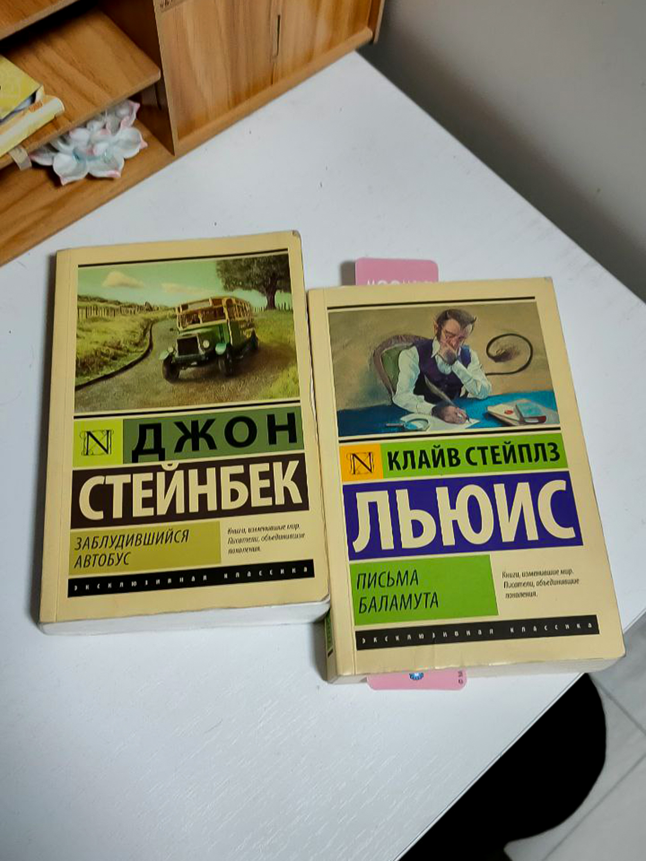 Книги Стейнбека и Льюиса я забрала у девушки, которая выложила объявление в петербургском чате обмена вещами
