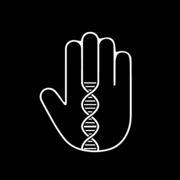 Лейбл заголовка