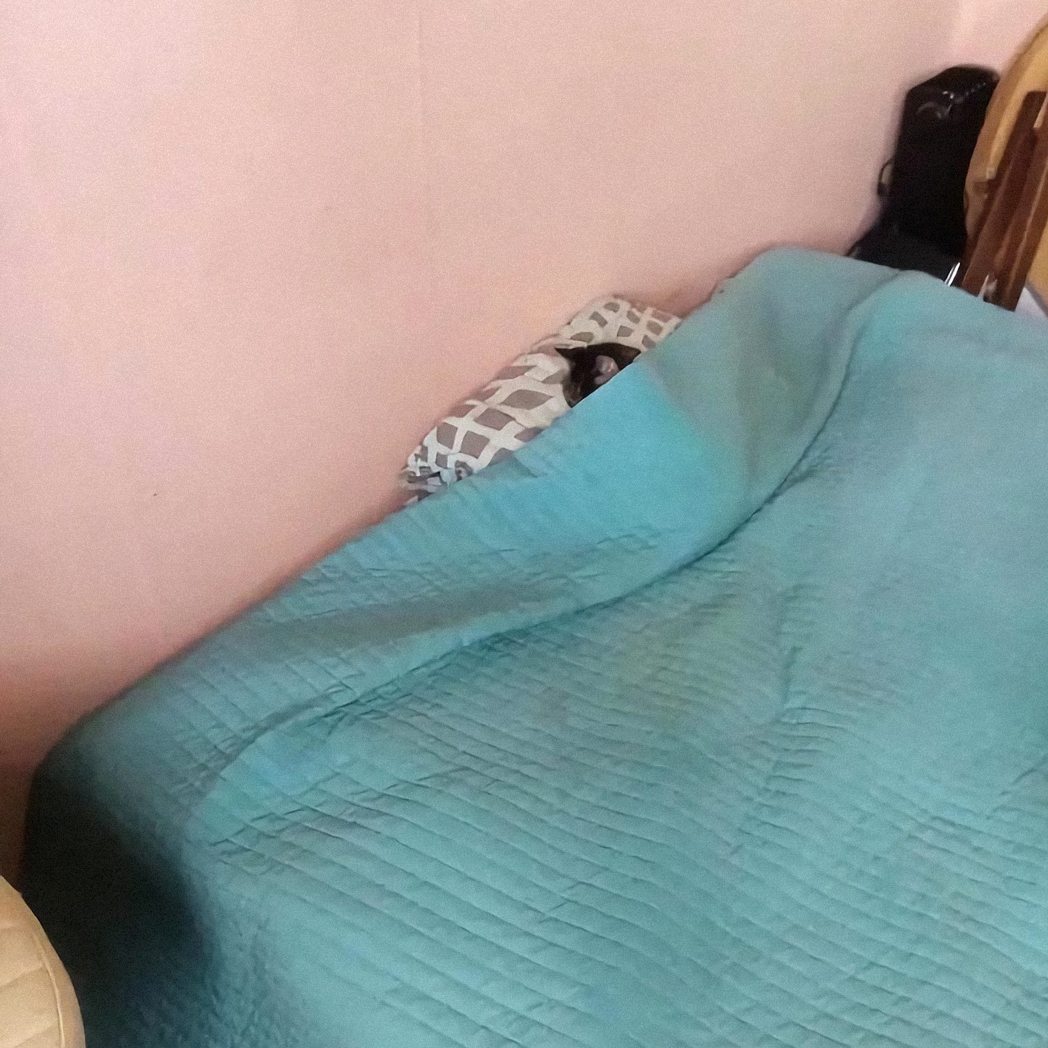 Спящая красавица