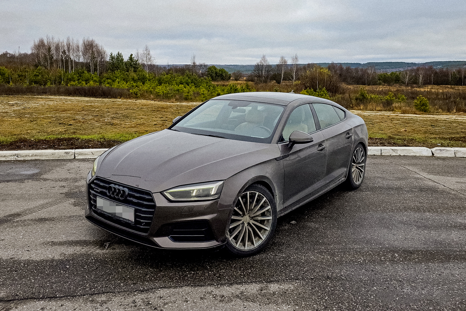 Сфотографировал авто во время очередной заправки где-то между Самарой и Пензой