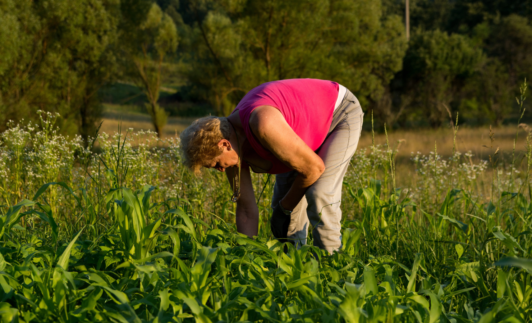Пропалываем