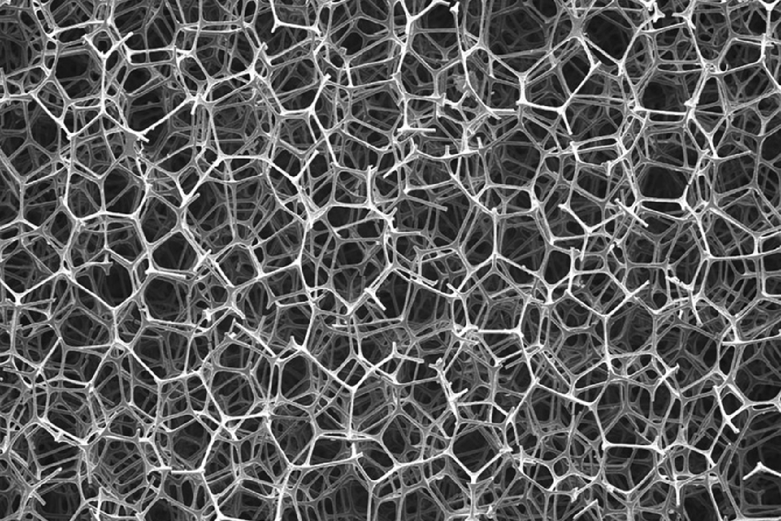 Меламиновая губка при увеличении в 100 раз похожа на колючую проволоку. Эти колючки и соскребают всю грязь с поверхности. © researchgate.net