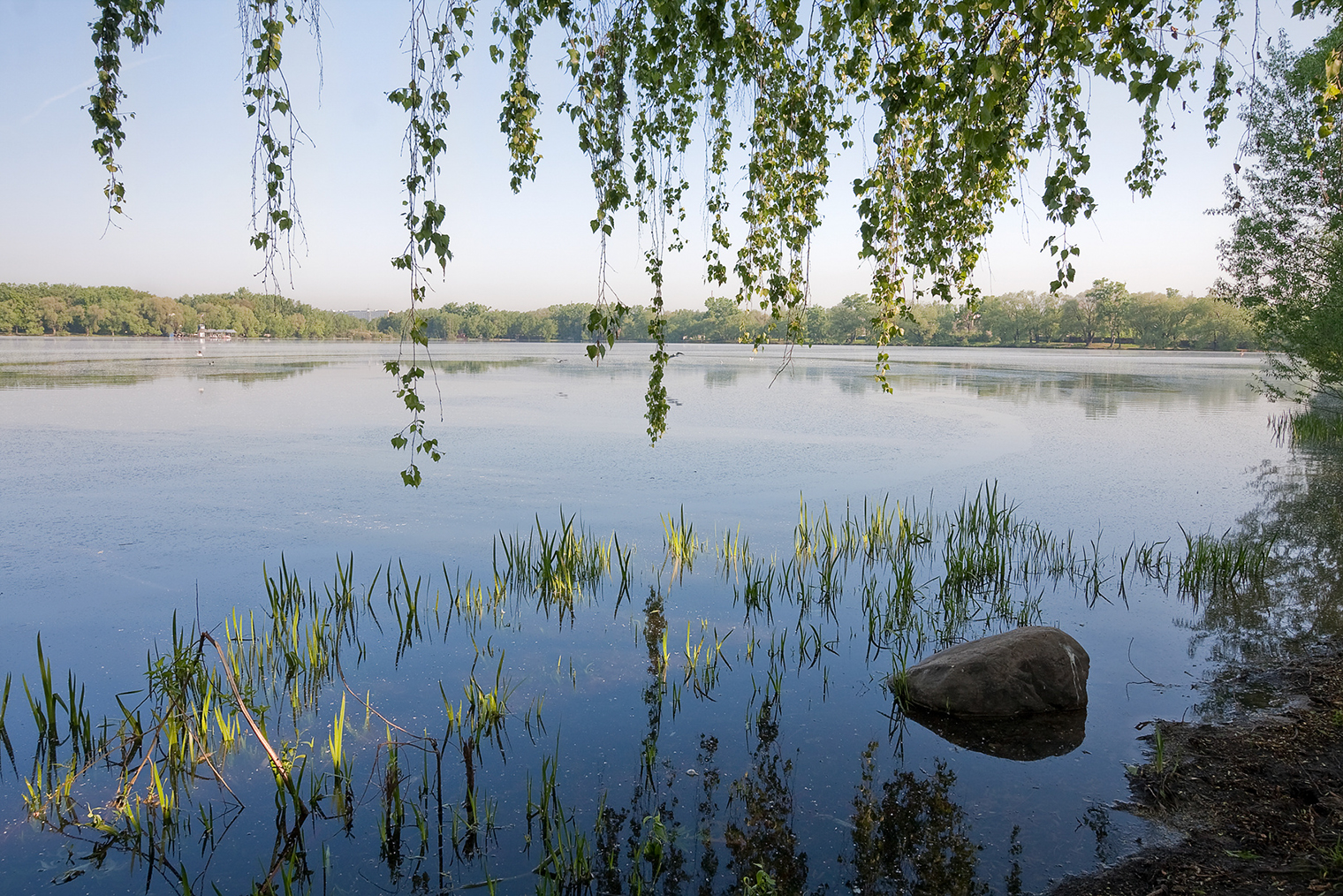 © Наталья Николаева / Фотобанк Лори