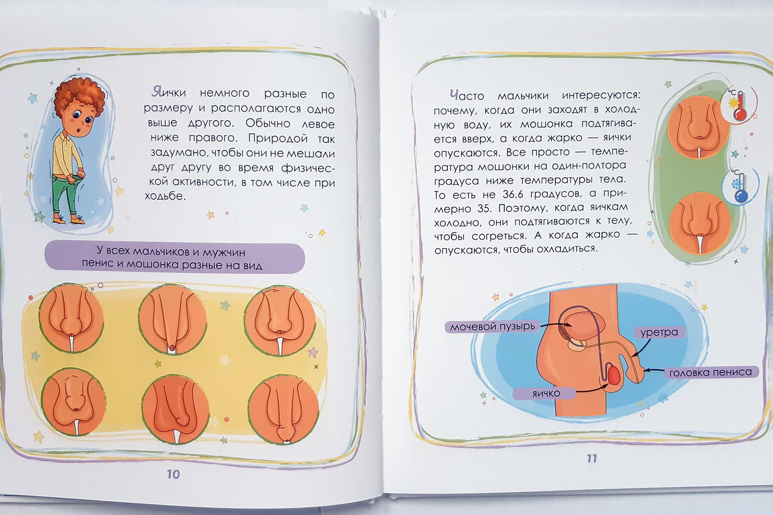 Для детей с 5—6 лет подойдет, например, популярная книга «Интимный ликбез с родителями и без». Она поможет ребенку воспринять свое тело с уважением, а не с отвращением или страхом
