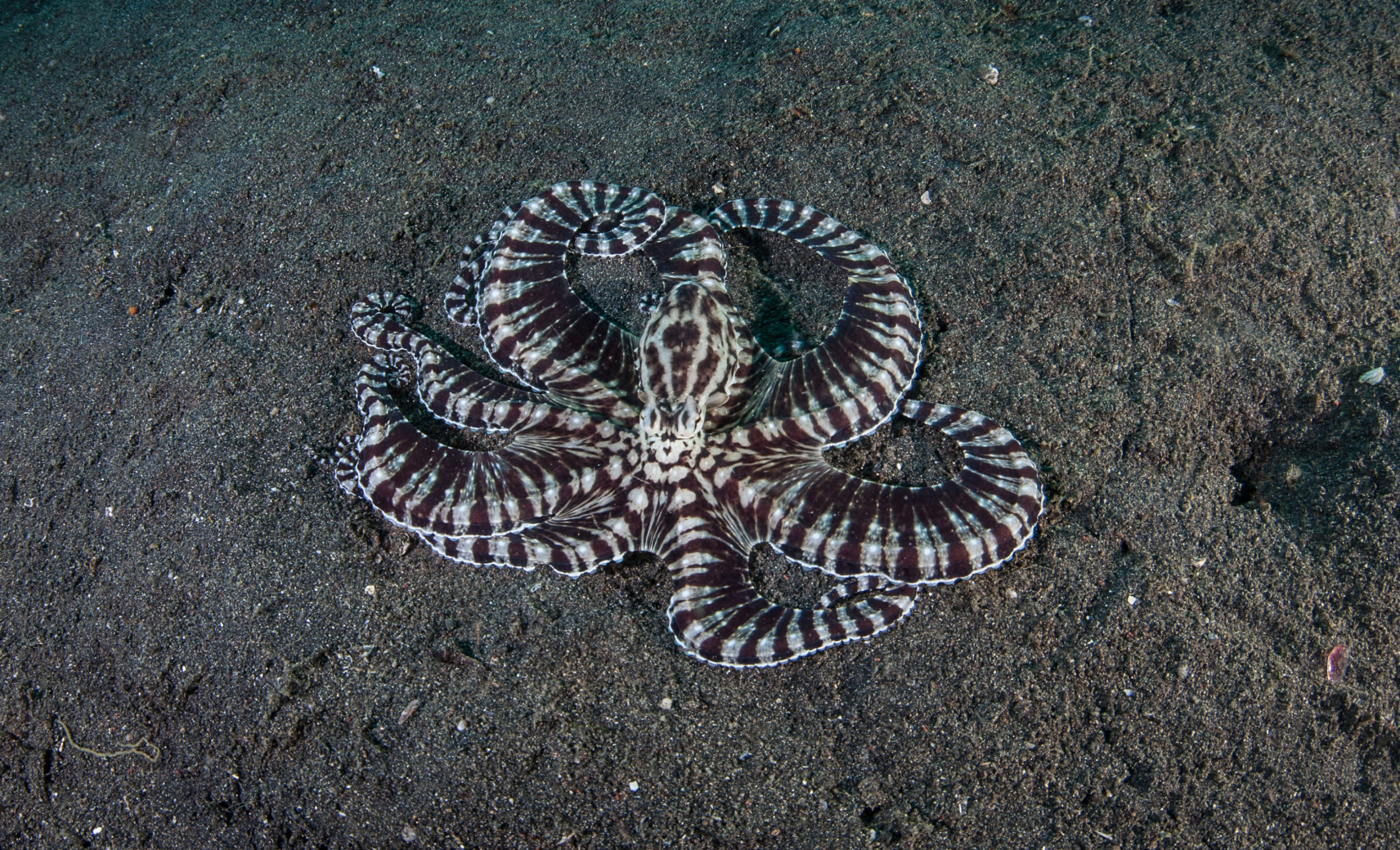 Создают дипфейки