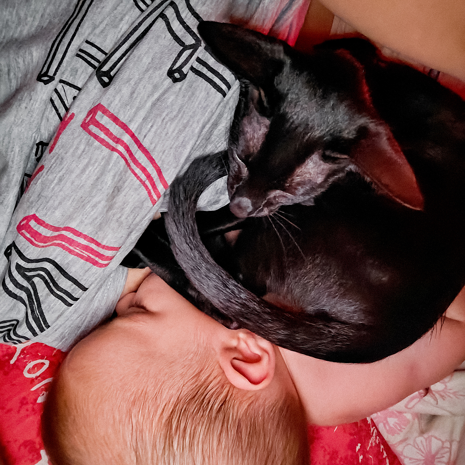 Тихий час в семье