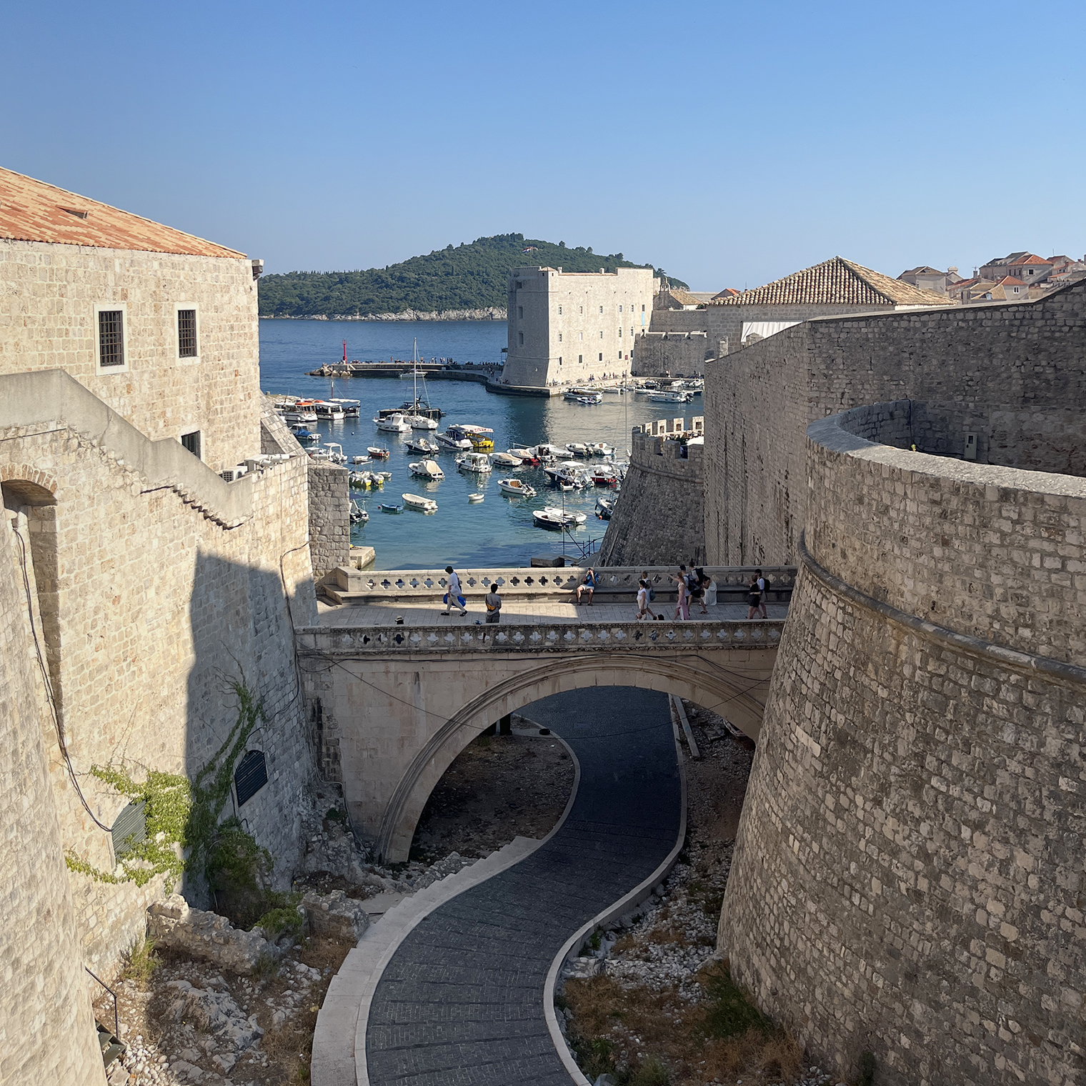 Живописная бухта расположена прямо у стен Старого города. Отсюда курсируют корабли до острова Локрум — это заповедник, который находится под защитой Юнеско