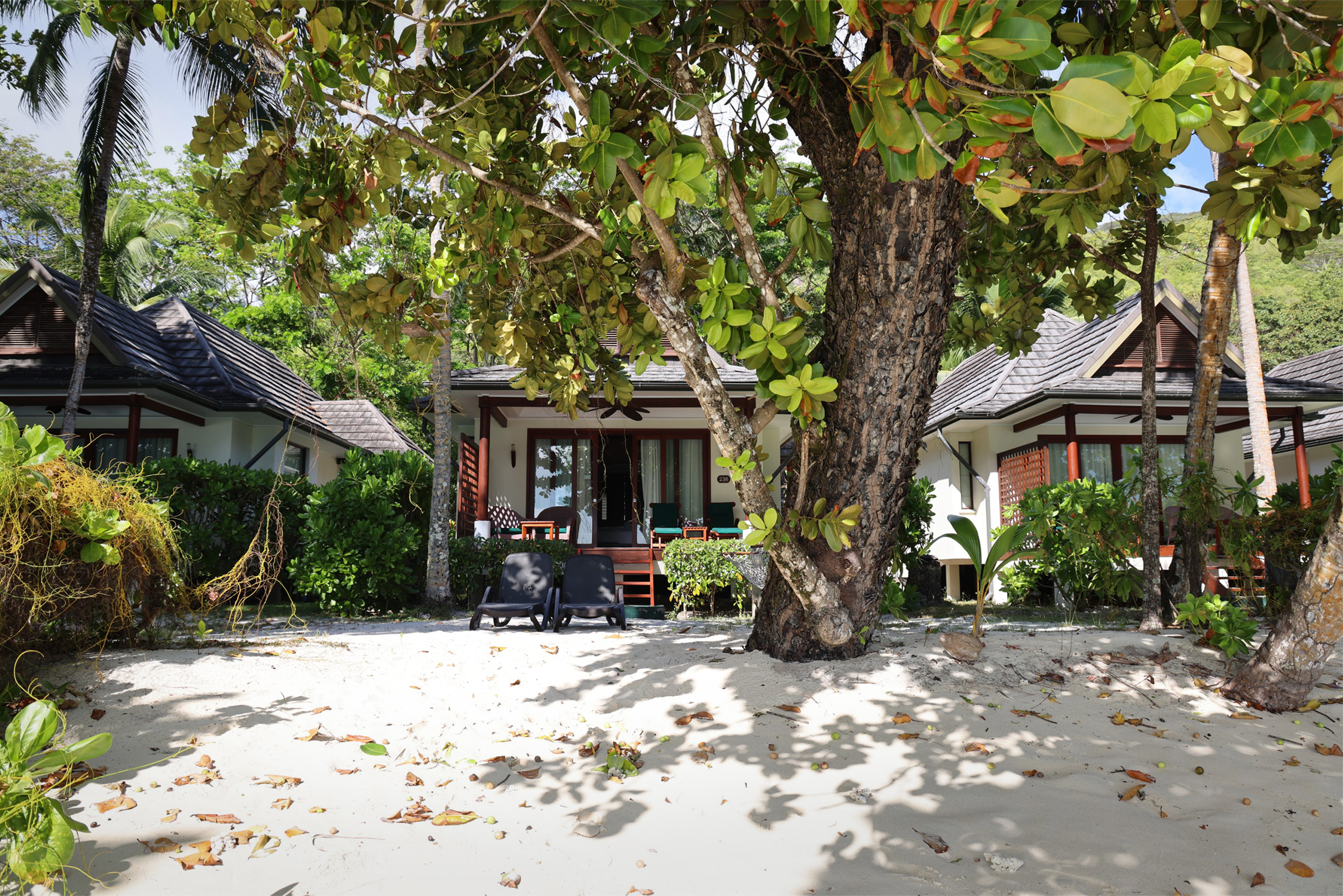 Мы жили в бунгало на пляжной линии. Из-за густой растительности вокруг создавалось прекрасное чувство уединения