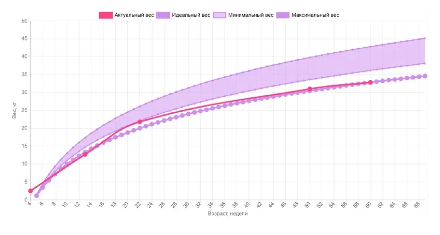 Индивидуальный график роста моей пациентки, щенка пиренейской горной собаки. На 20—24 неделях мы заметили, что питомец набрал лишний вес, и вовремя скорректировали питание. Рост собаки вернулся к норме