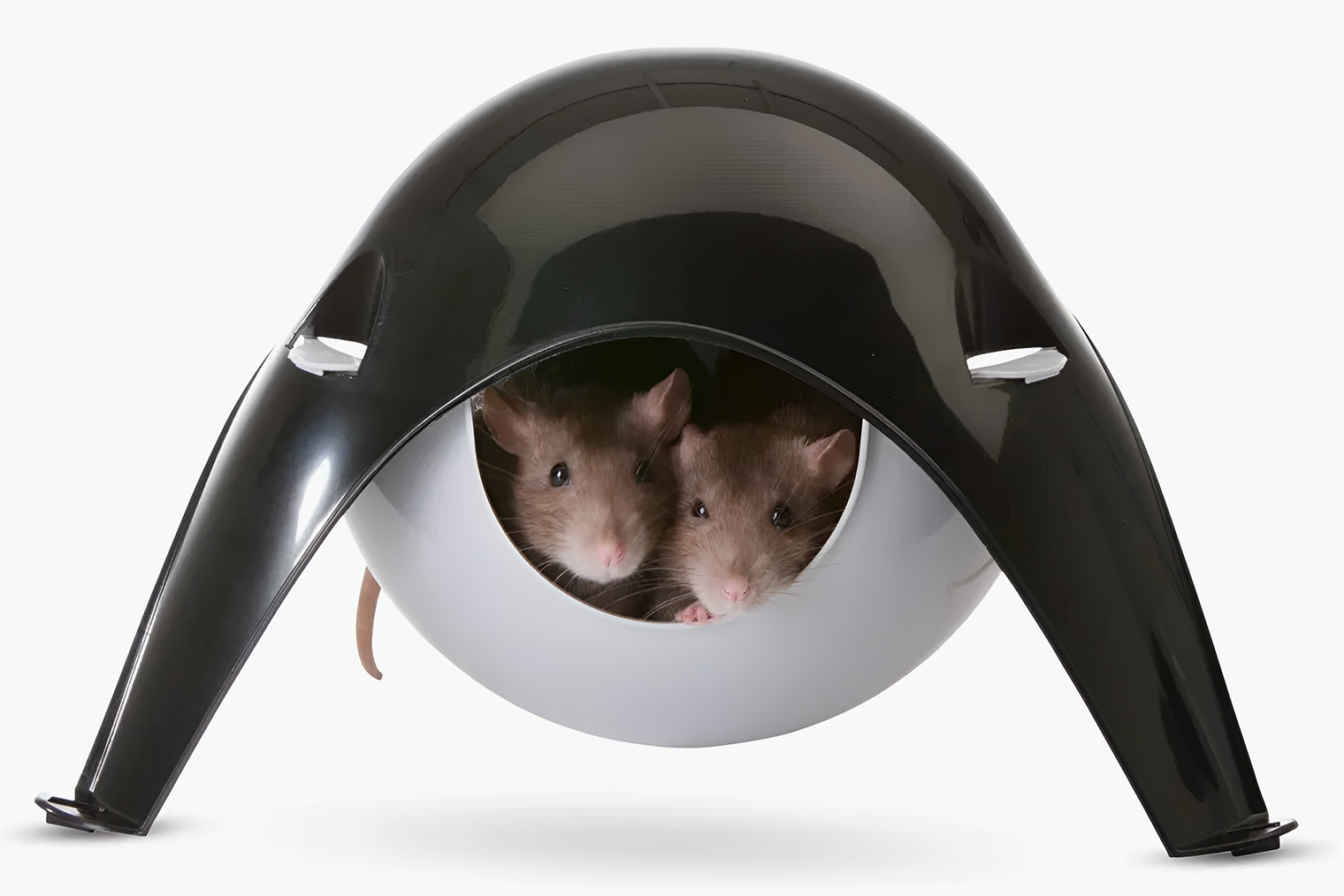 Крысы очень любят домики-«спутники». Их можно поставить на поддон или подвесить к потолку клетки. Источник: market.yandex.ru