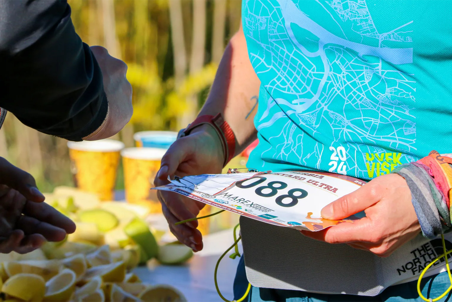 С номером пришлось повозиться. © Serbia Backyard Ultra