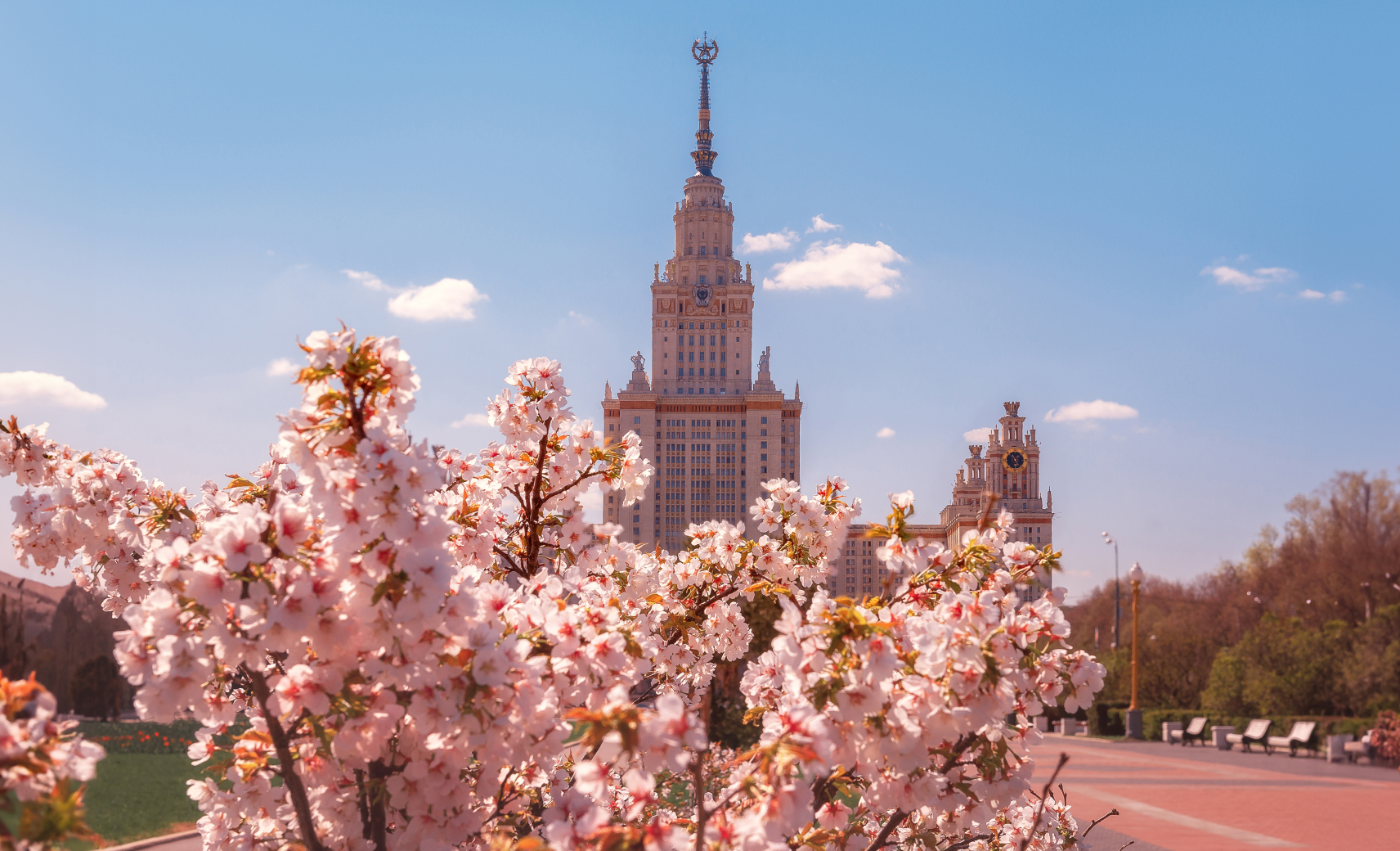 Аллея у главного здания МГУ