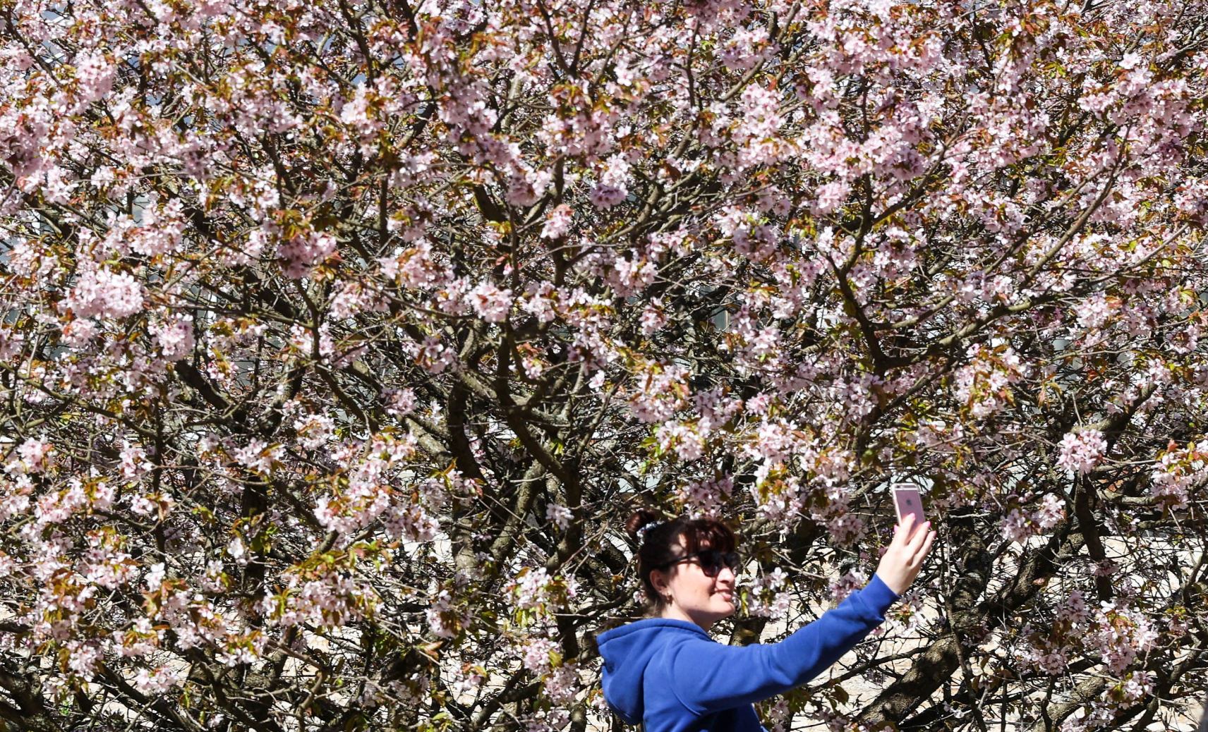 Ботанический сад Петра Великого