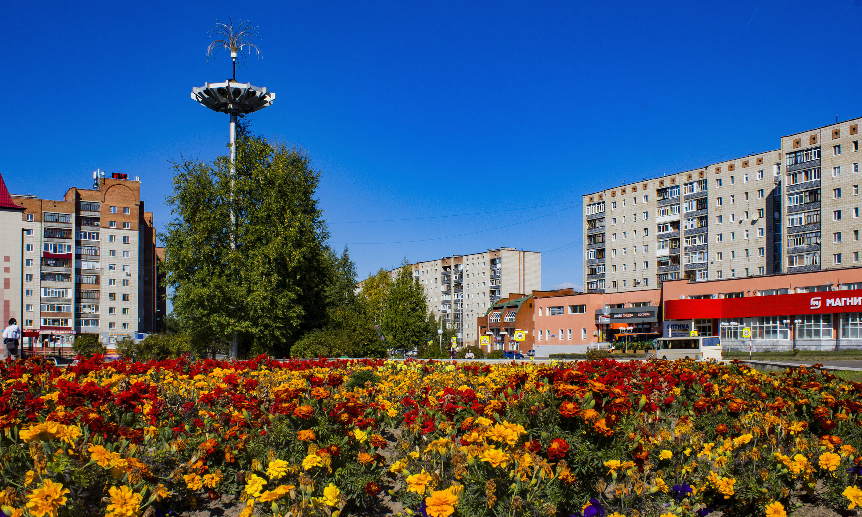 Сердце Стрежевого
