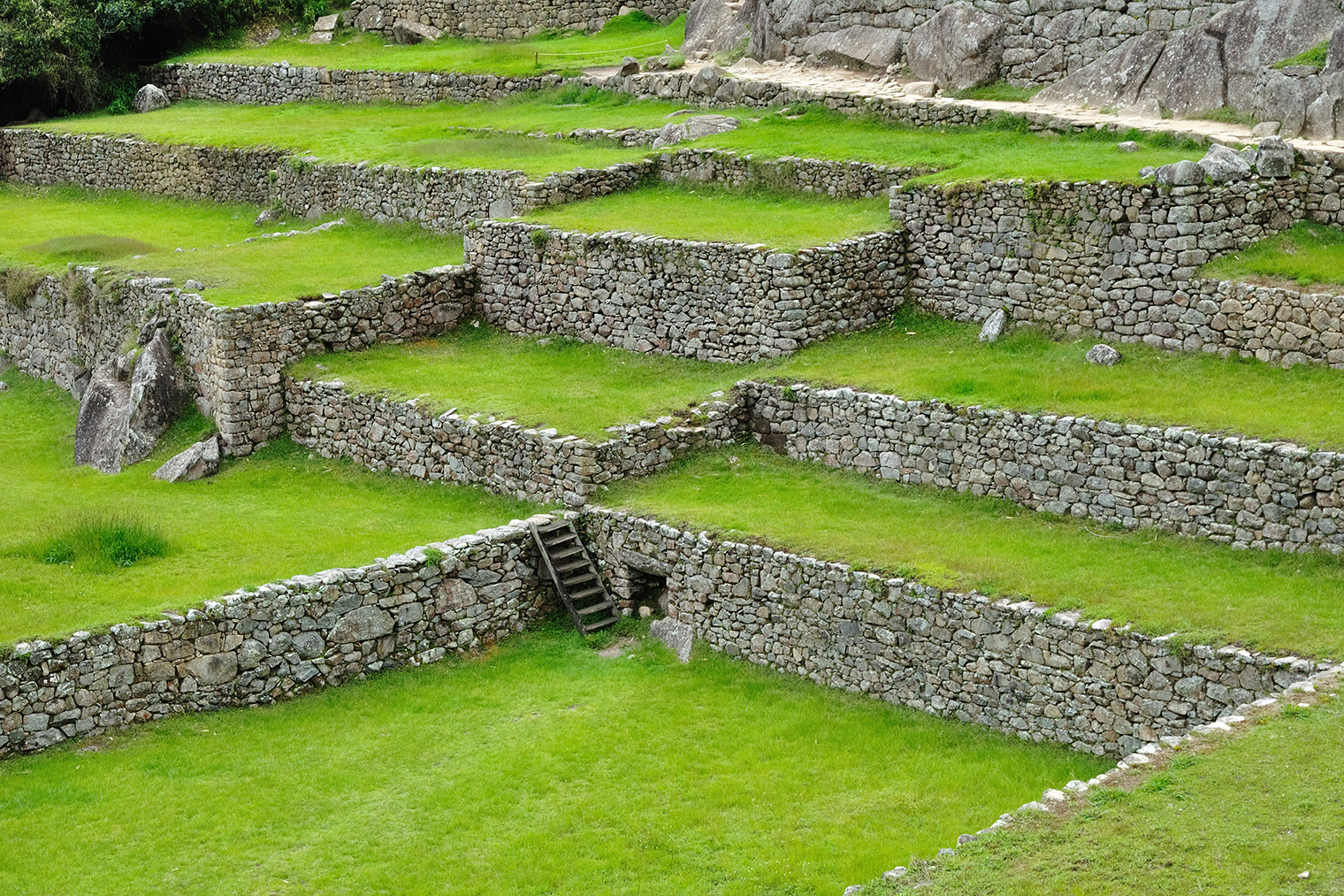 Террасирование склона с помощью подпорных стен в Мачу⁠-⁠Пикчу, Перу. Фото: Tonic R / iStock