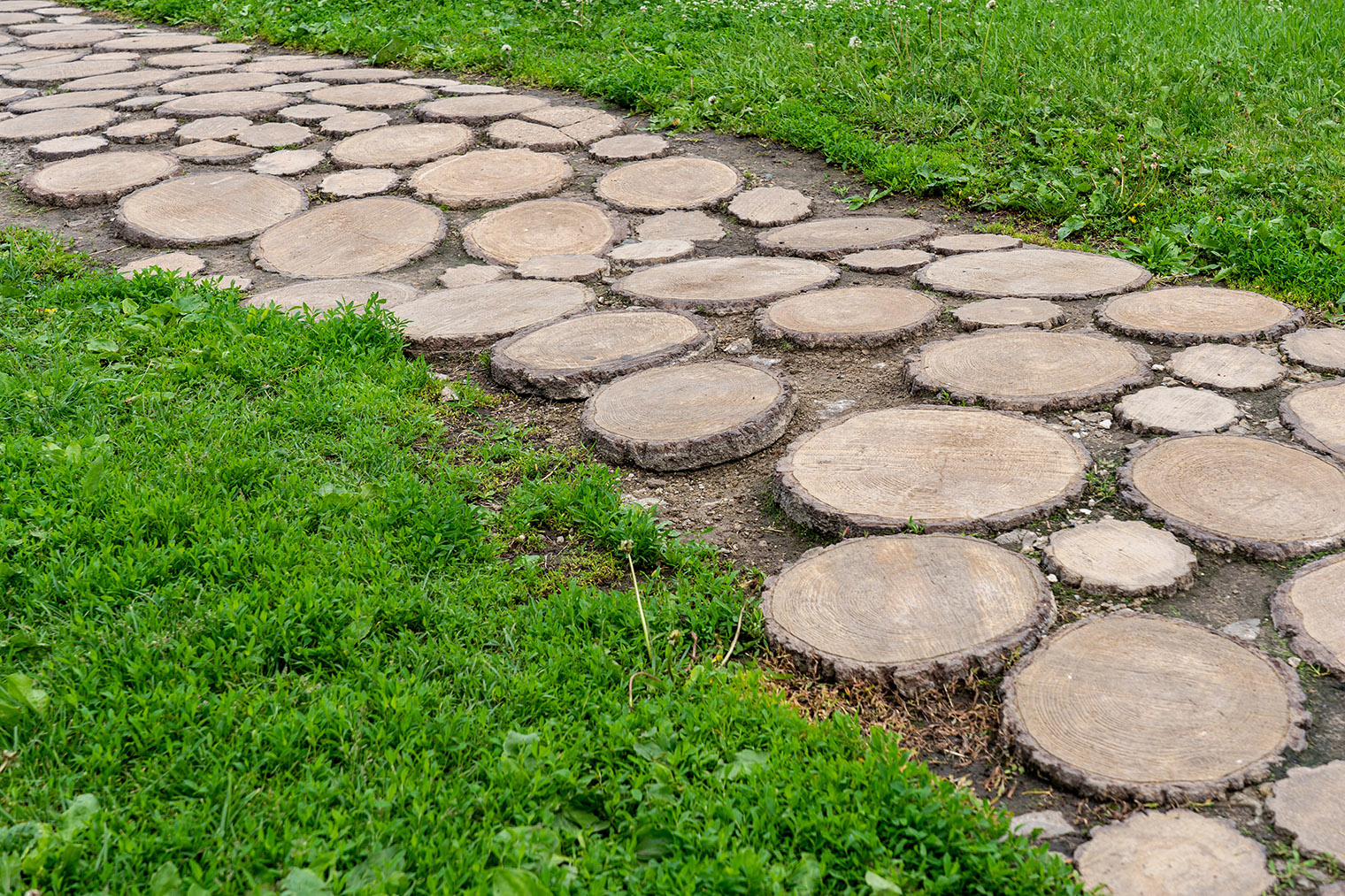 Дорожку можно выложить даже из спилов дерева. © AntonSAN / Shutterstock / FOTODOM