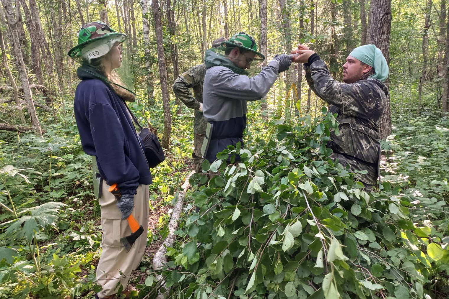 И изучала запасы углерода в лугах и лесах Кенозерья. © Сообщество в vk.com