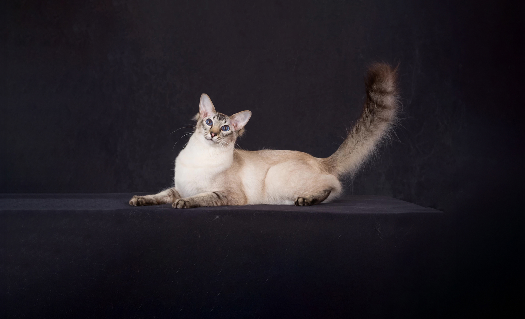 Балинезийская