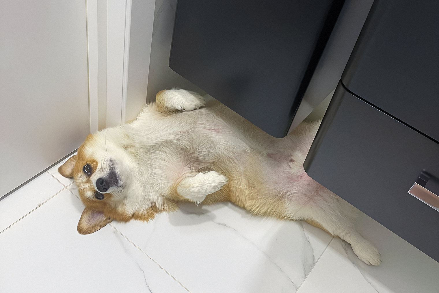 Ролекс проводит время на своем любимом месте