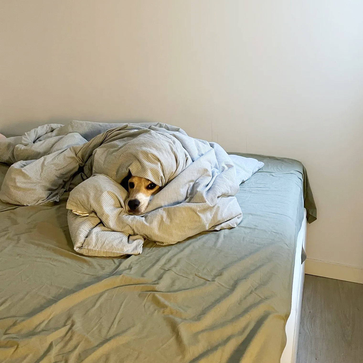 Фото у нас только такие