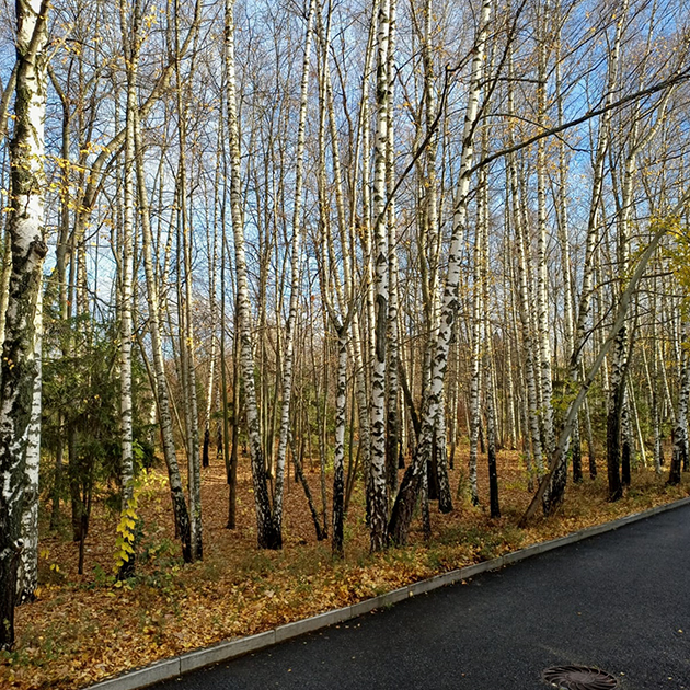 Погода сегодня хорошая