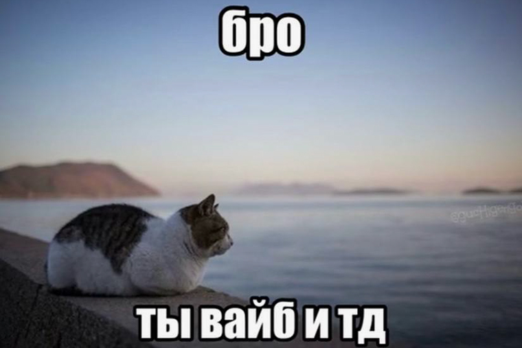 Мем, который мне сегодня понравился