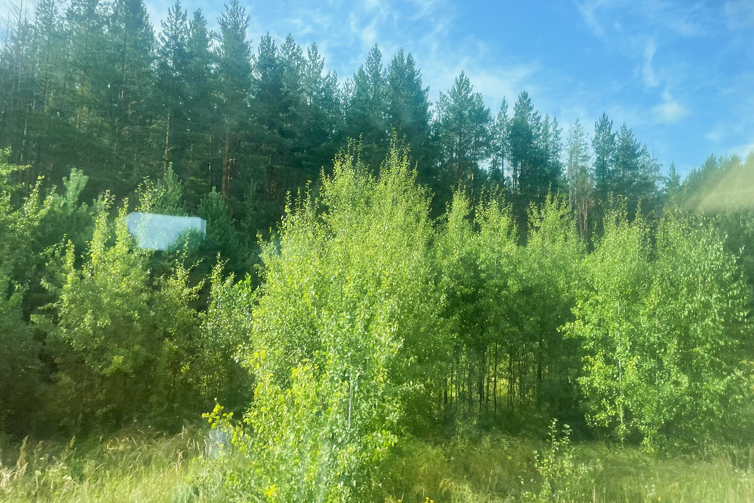 Вид из окна поезда