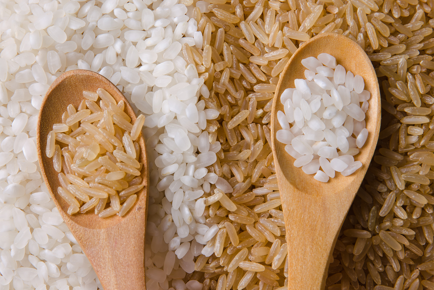 Бурый рис темнее белого. Фотография: Iasmina Calinciuc / Shutterstock / FOTODOM