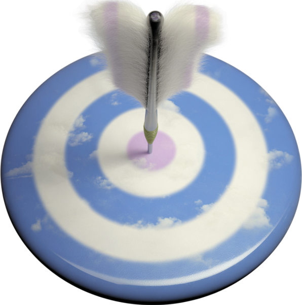 Лейбл заголовка