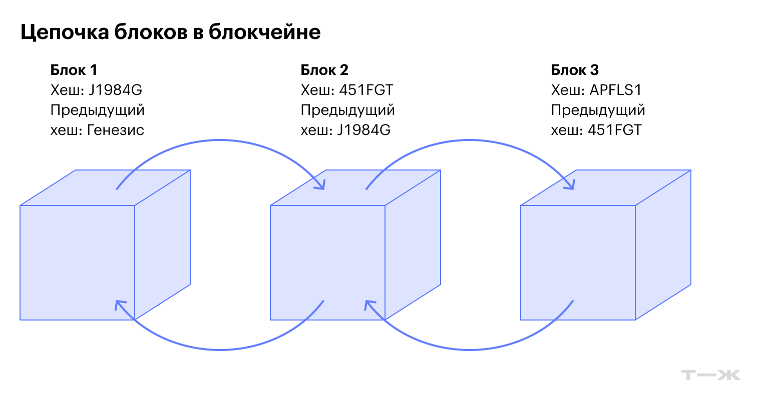 Каждый блок имеет порядковый номер в блокчейне — это высота блока, то есть количество блоков от генезис-блока высотой 0 до текущего. Хеш блока — уникальный «отпечаток» содержимого именно этого блока, который включает и хеш предыдущего блока, что создает цепочку, делая записи неизменяемыми