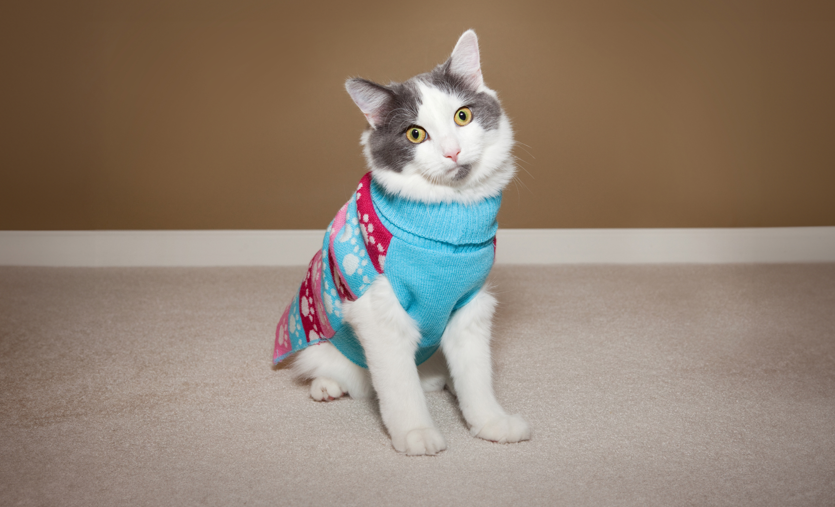 Предметы гардероба «для красоты»