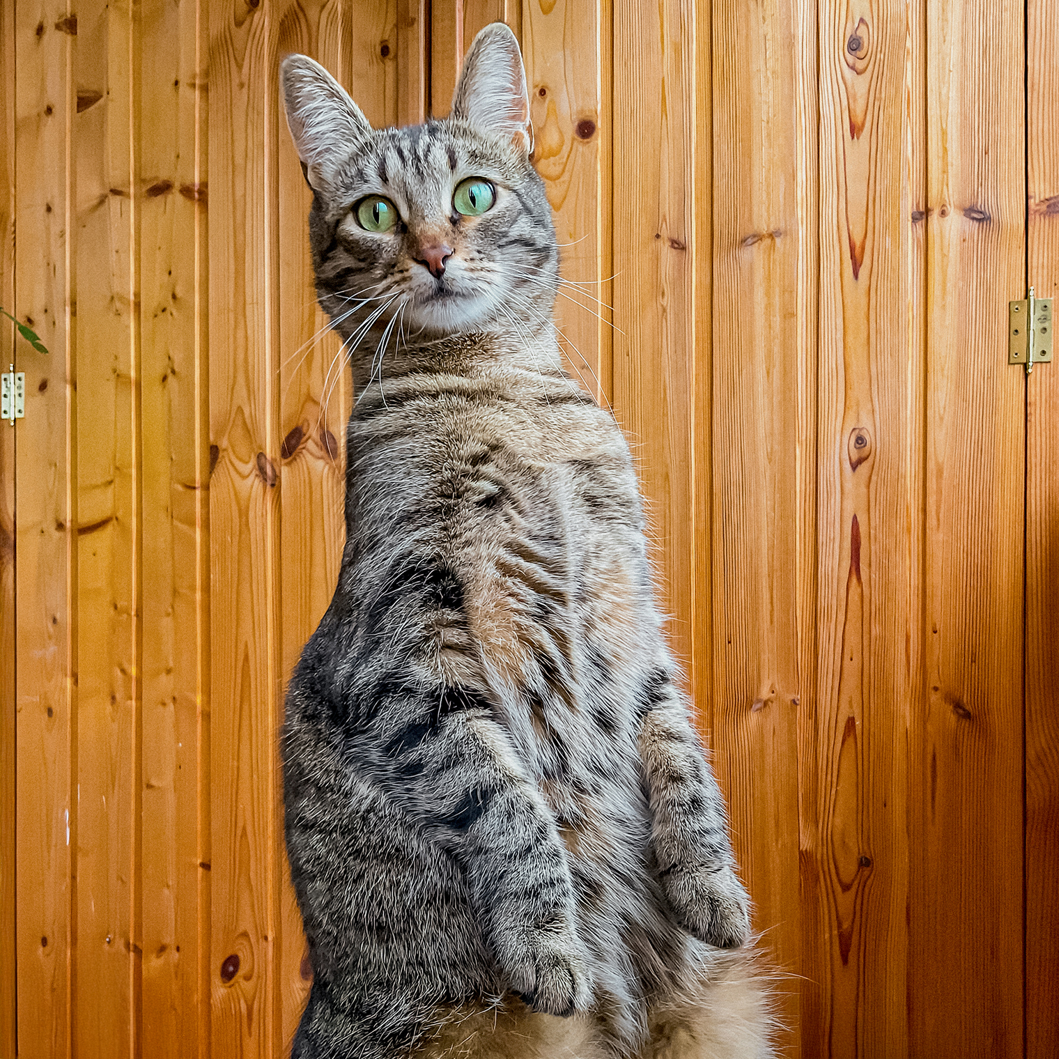 Фирменная поза Милы