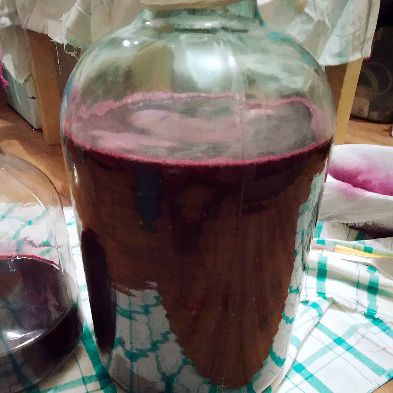 Брагу папа чаще ставит в стеклянной банке, но можно и в другой таре