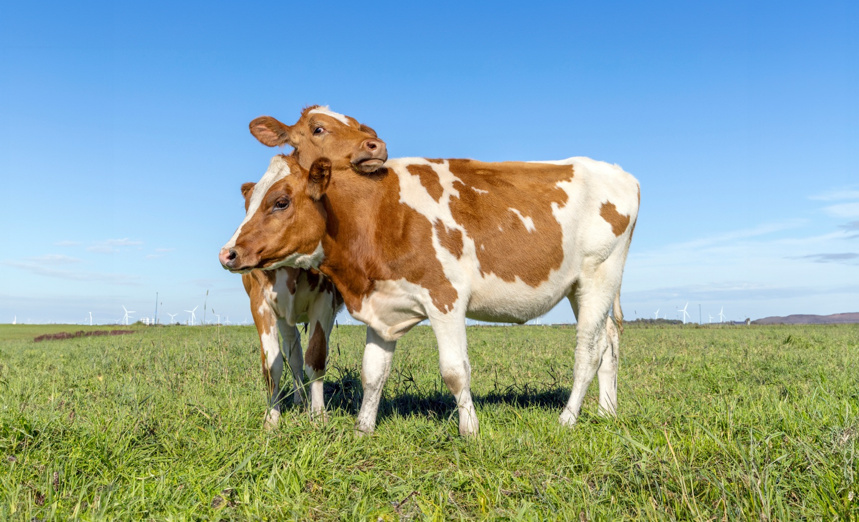 … и хорошая память на лица