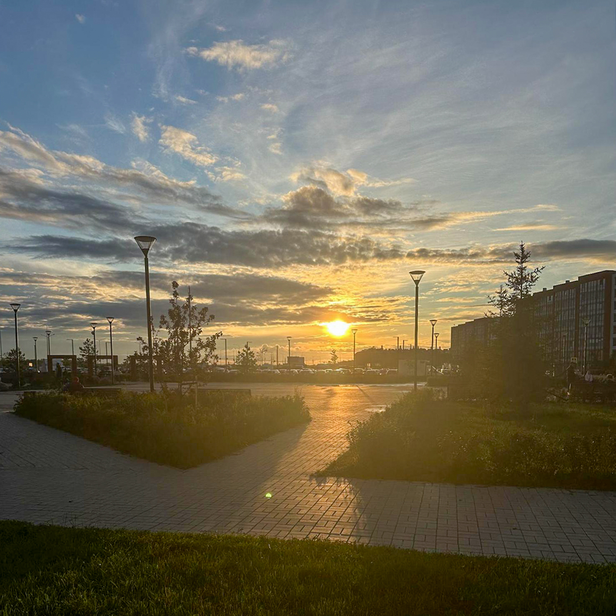 Дорога домой