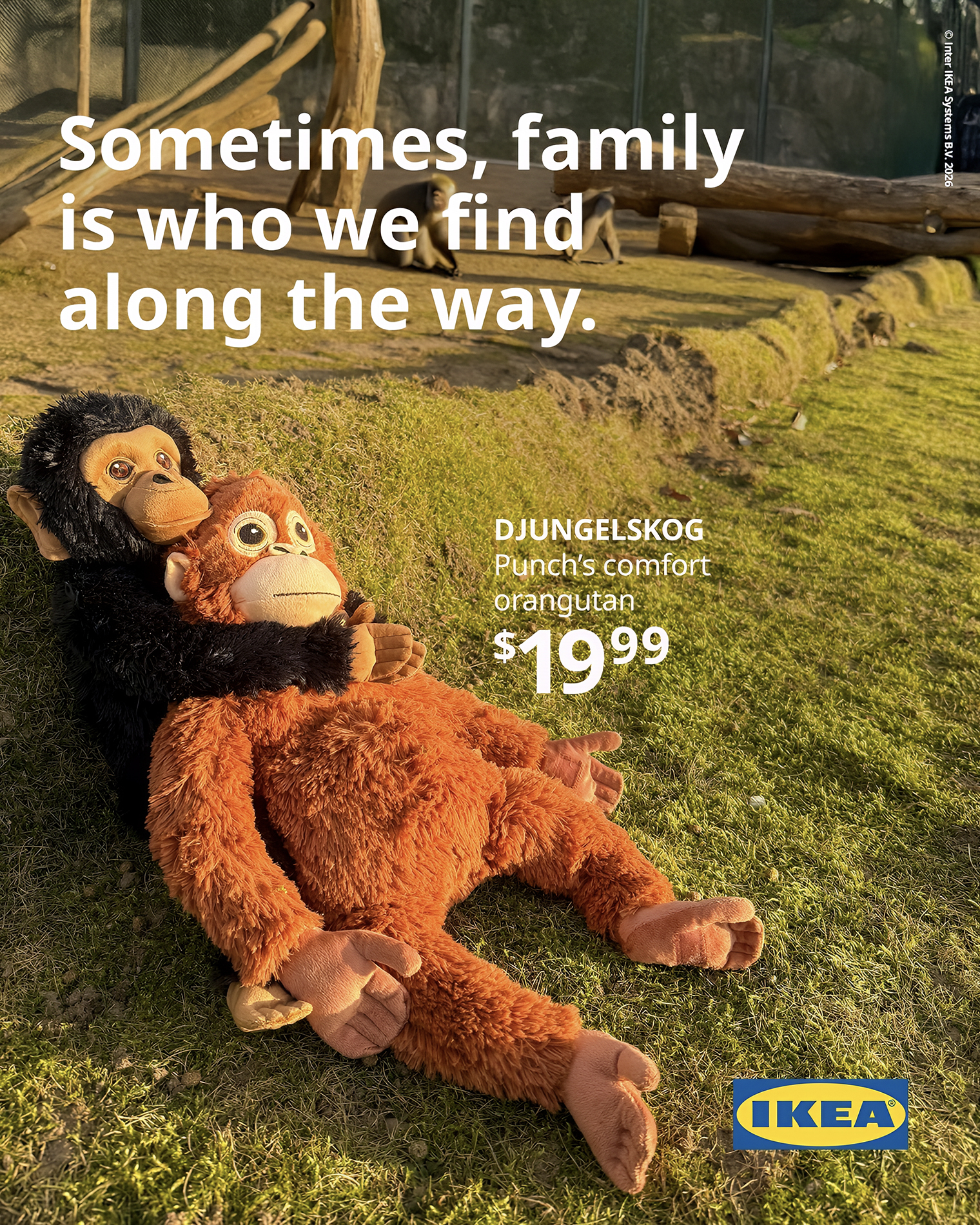 Воодушевляющая реклама «Икеи»: «Иногда семья — это те, кого мы встречаем по пути»