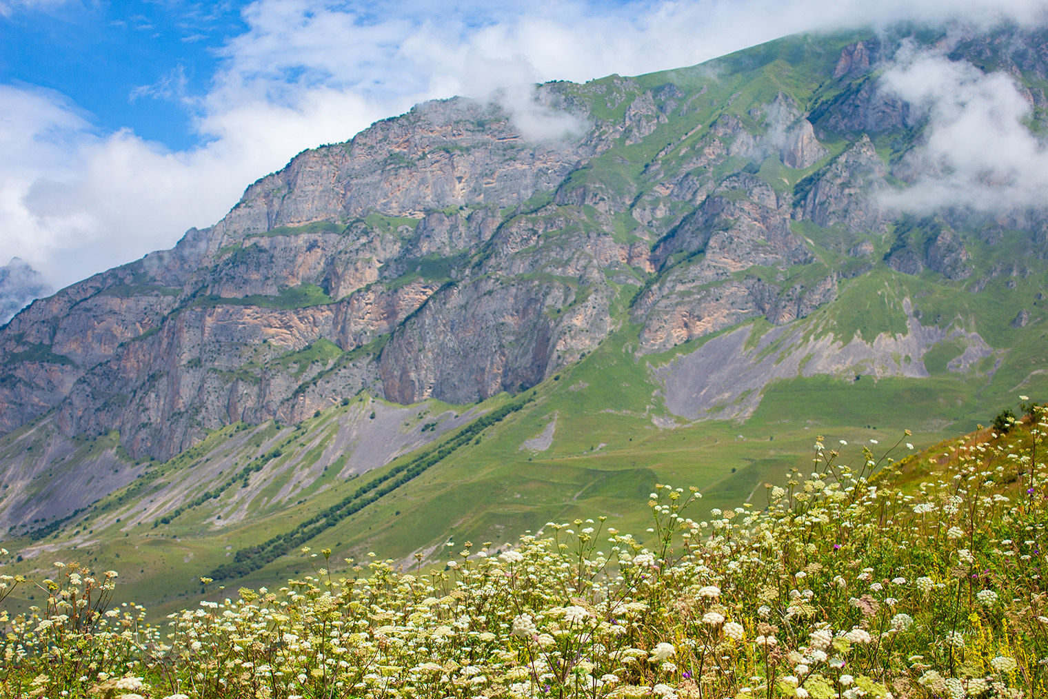 Вид на горы рядом с Даргавсом