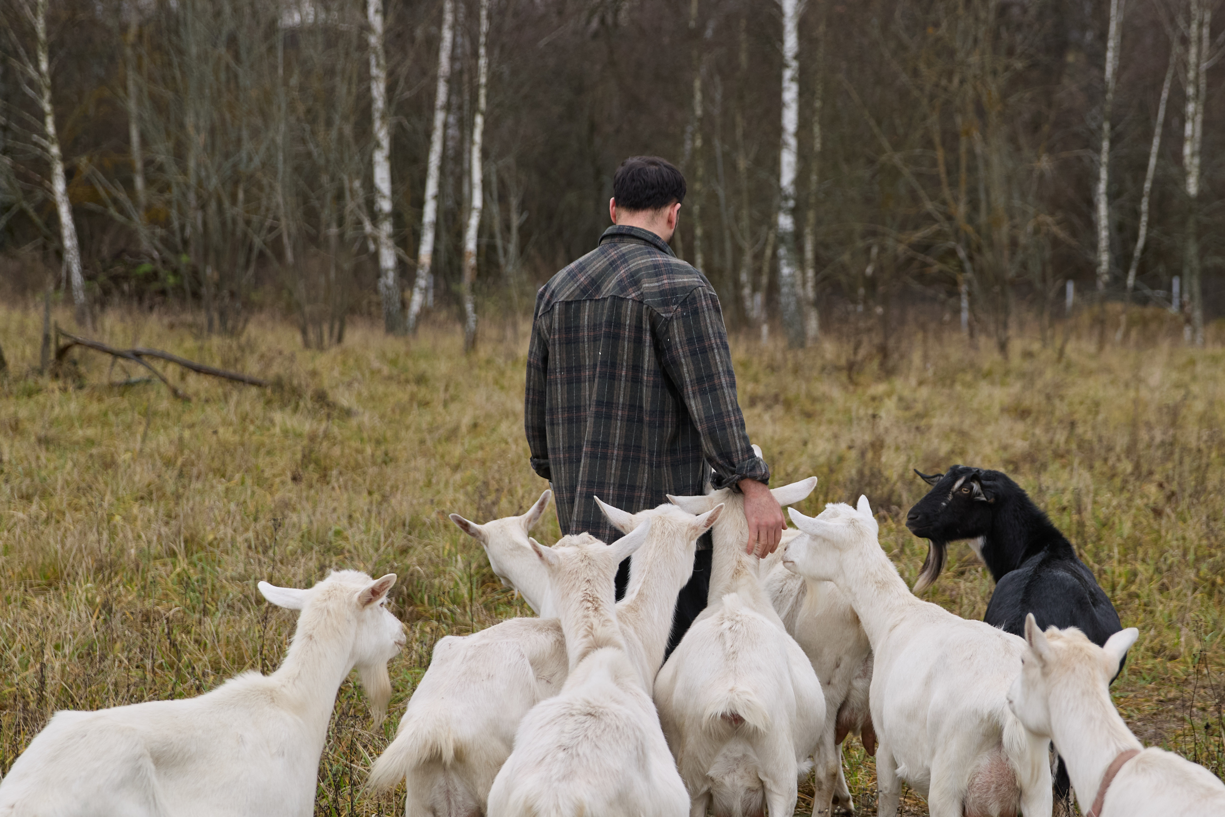 Для себя, без мыслей о продаже