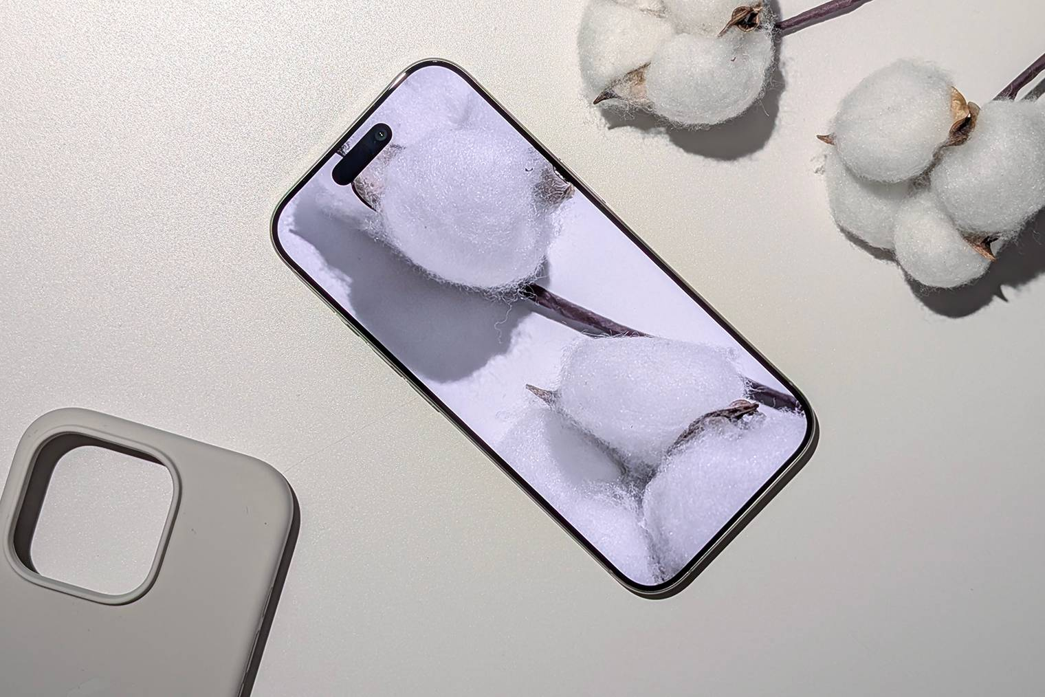 Отличить iPhone 16 Pro и iPhone 17 Pro с лицевой панели практически невозможно, они выглядят одинаково. На фото — iPhone 16 Pro