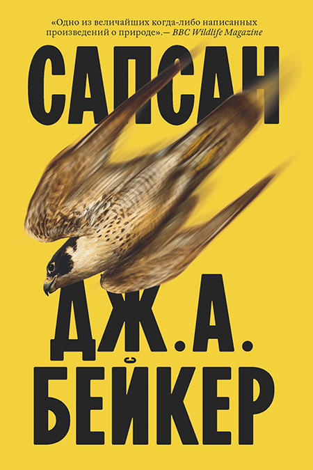 Лейбл заголовка