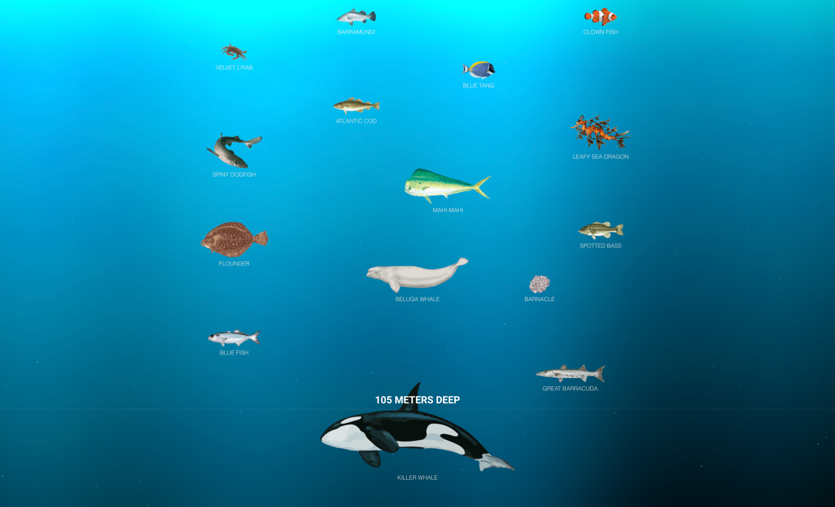 музей The Deep Sea