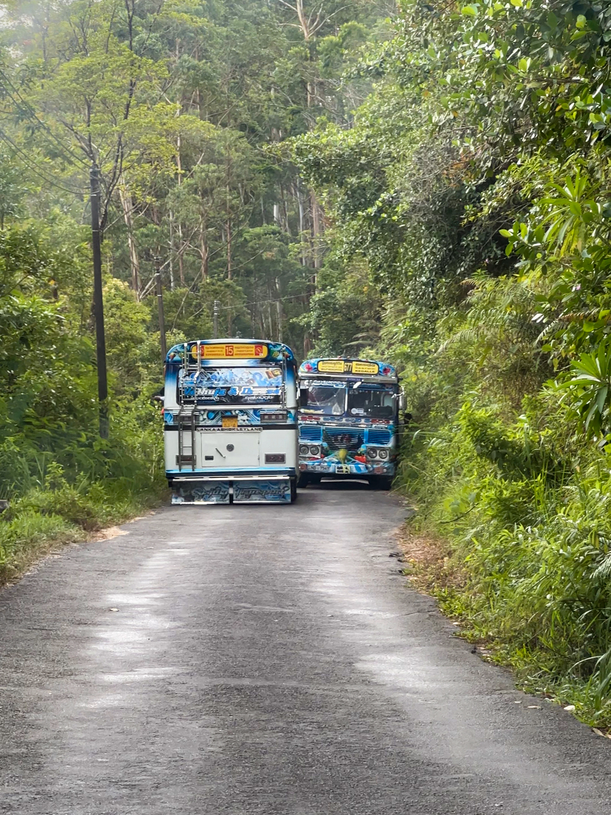 На Шри⁠-⁠Ланке некоторые дороги очень узкие, иногда двум автобусам на них не разъехаться. Мы часто попадали из⁠-⁠за этого в пробку и ждали, пока водители найдут выход из ситуации