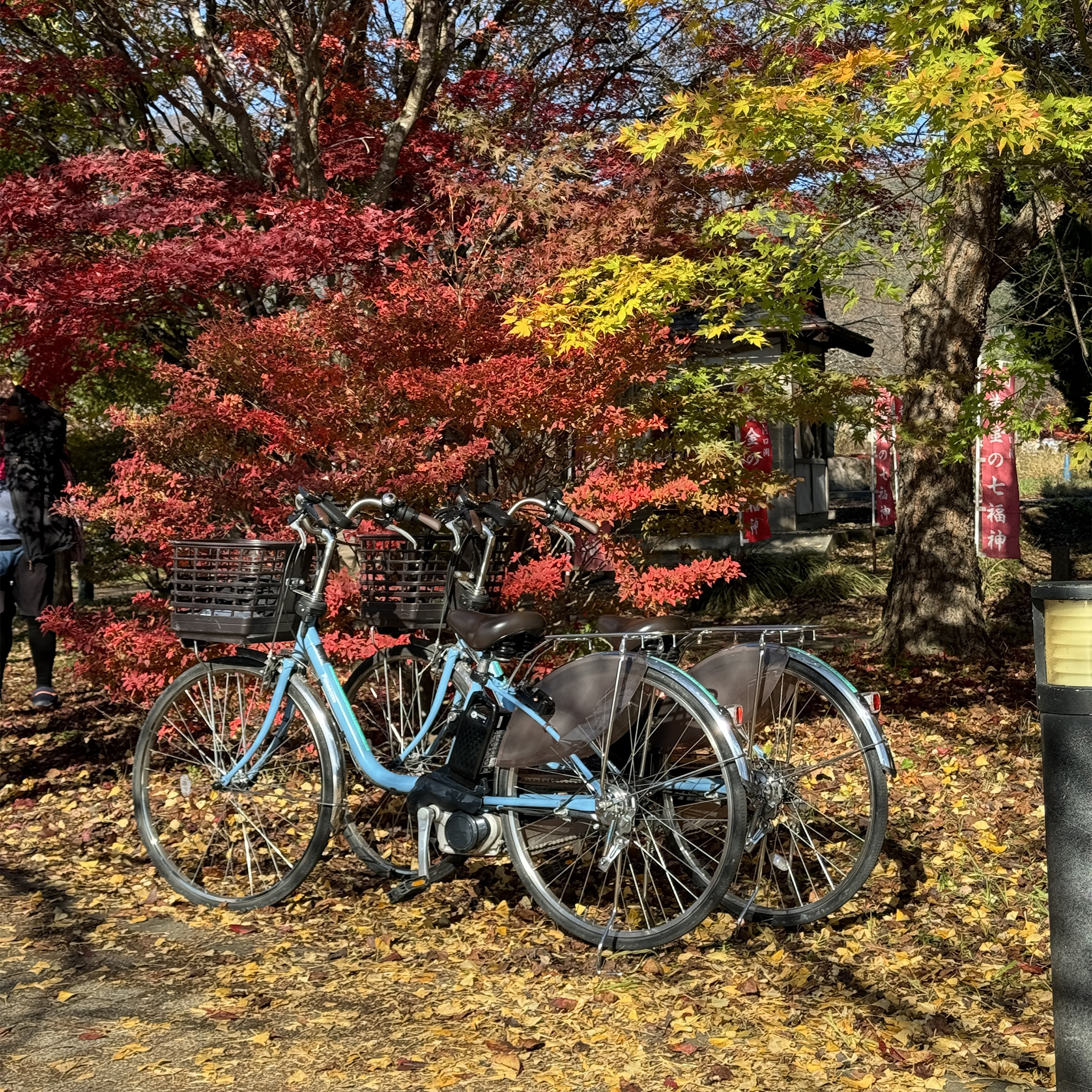 В небольшом парке у озера Кавагути можно проехаться на велосипедах и послушать шуршащую листву. Я не каталась — только смотрела