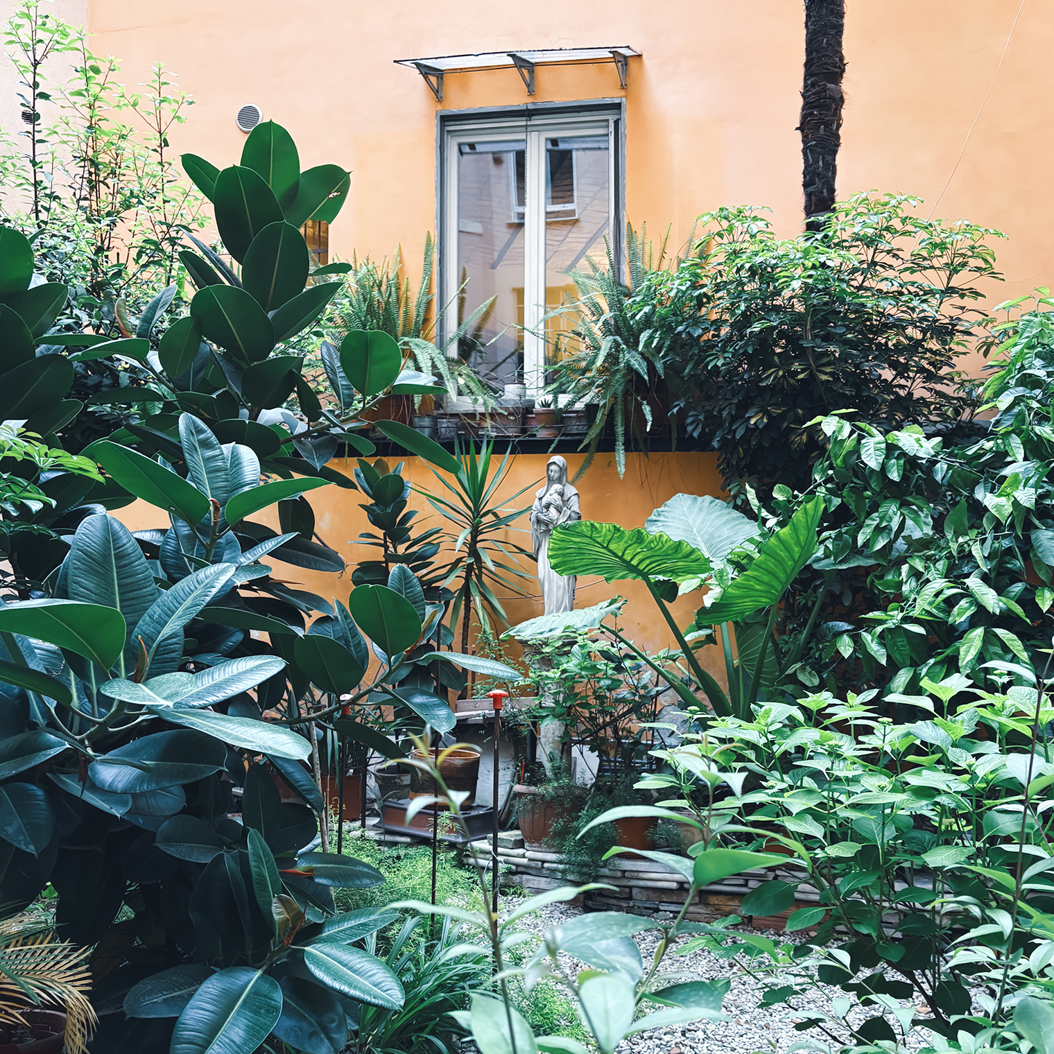 Внутри дворика был целый сад