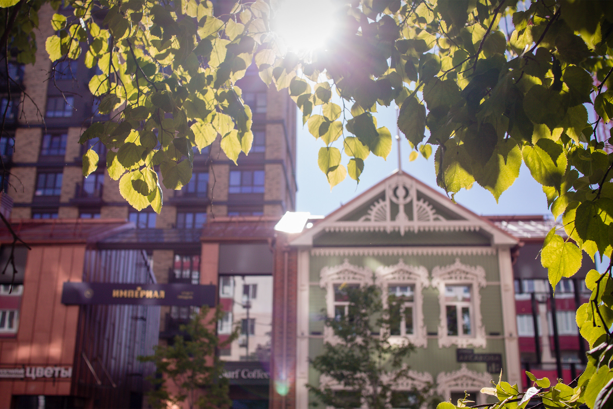 В последних числах мая в Уфе было очень тепло и солнечно, в отличие от Москвы. Во время прогулок по городу я устраивал небольшие привалы под сенью деревьев — так и получился этот кадр