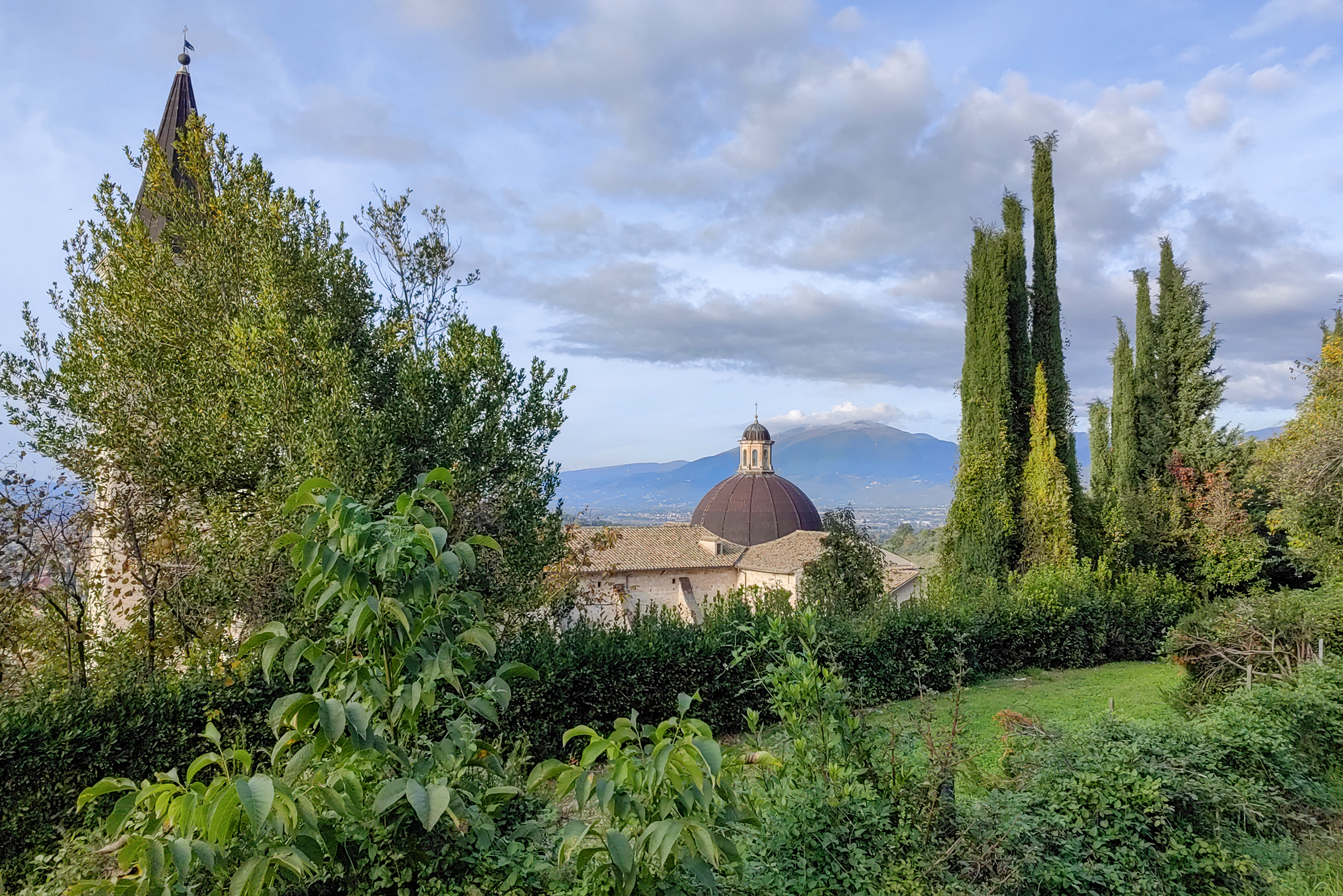 Вот она — верхняя точка Сполето. За деревьями прячется башня собора, а его купол хорошо виден на снимке