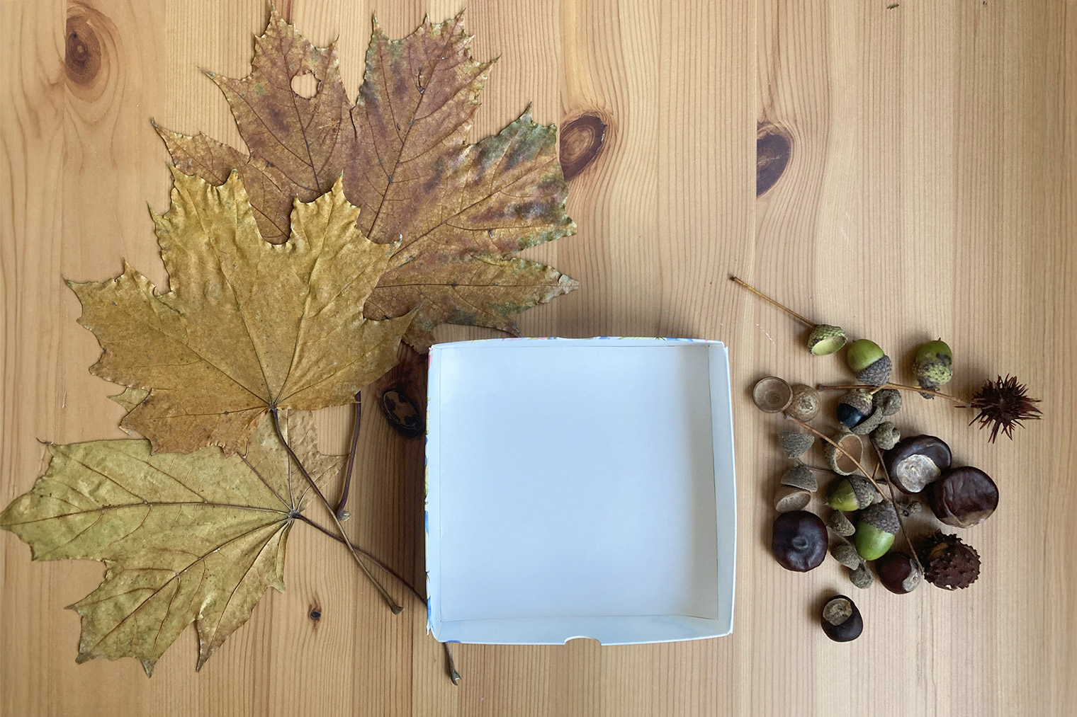 Материалы, необходимые для поделки