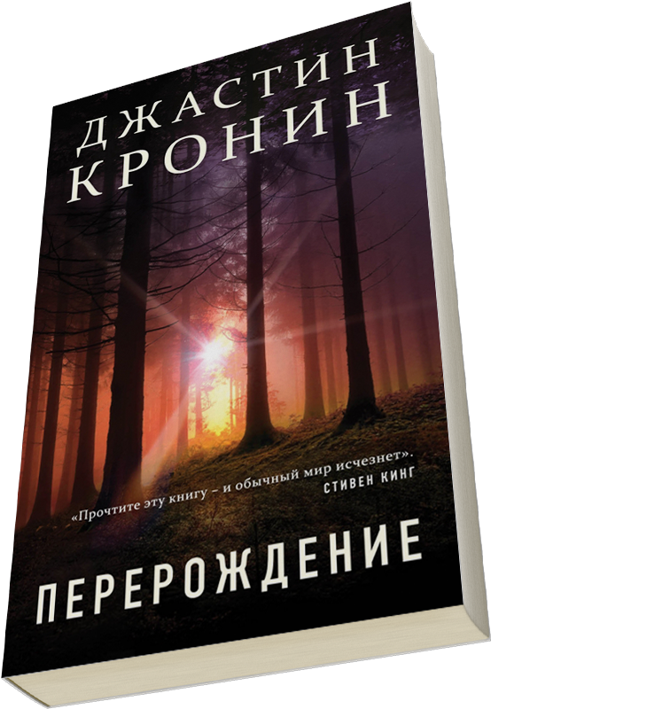 Лейбл заголовка
