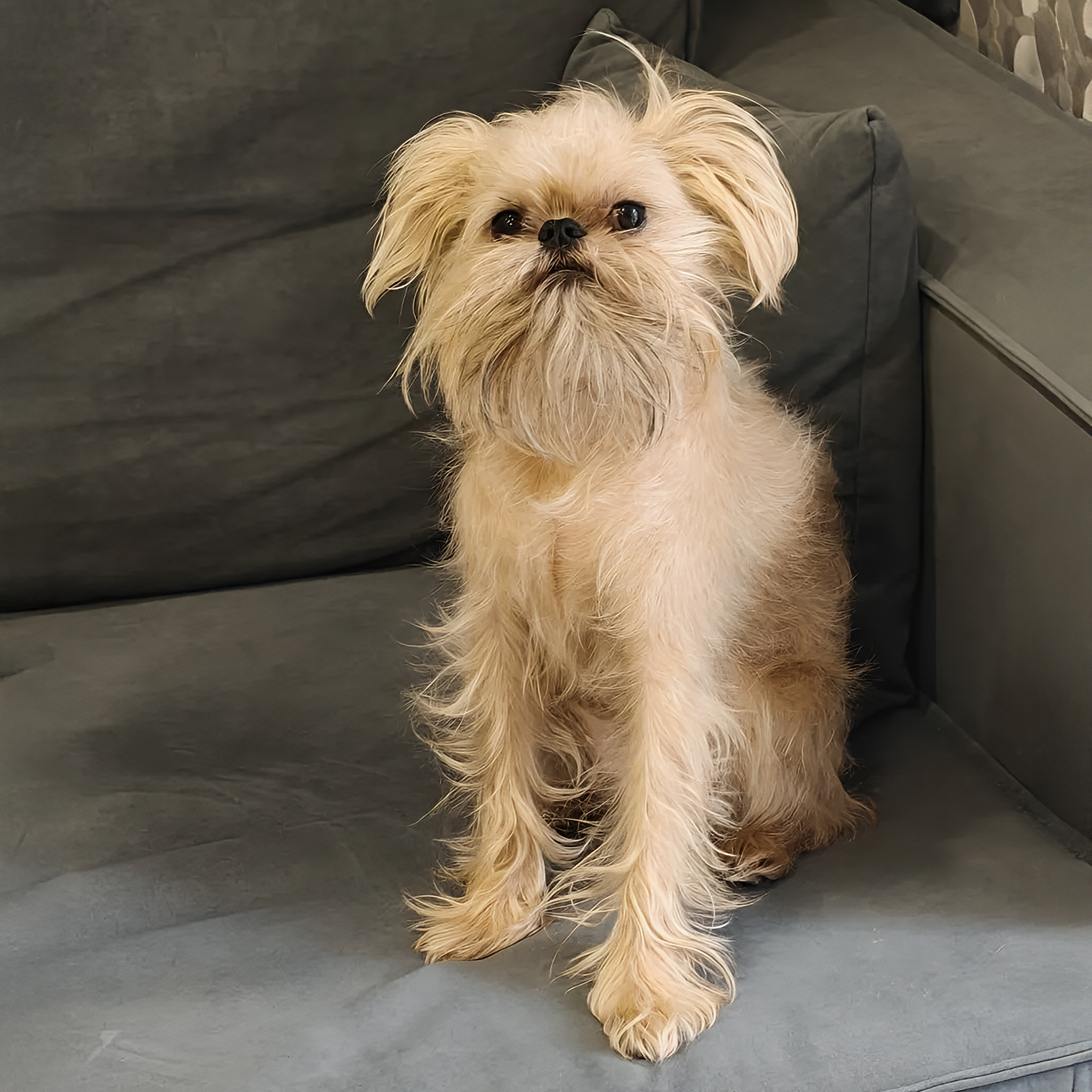 Мой пес Кузя